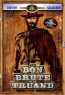 dvd_brute.jpg (7234 octets)